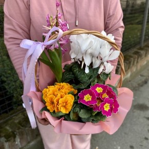 Кошик із квітів Весняна галявина 