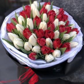 Букет із 51 тюльпана Віорна