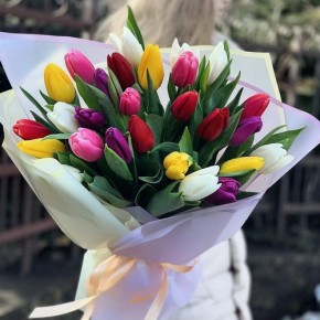 Букет тюльпанів Барвиста радість 25 шт.