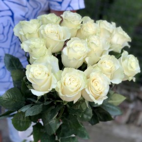 15 імпортних білих троянд