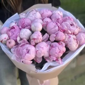 Букет пионов Розовое лето 25 шт.